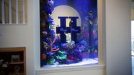 Die Aquarium-Profis – Do, 03.09., 15:55 Uhr