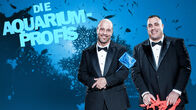 Die Aquarium-Profis – Fr, 04.09., 03:20 Uhr