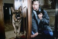 Kommissar Rex – Rex und Böck (Heinz Weixelbraun)