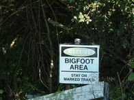 Unheimliche Videos - Wahrheit oder Fake? – Bigfoot Area Schild!