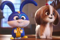 Pets 2 – L-R: Snowball (Kevin Hart synchronsprecher), Daisy (Tiffany Haddish synchronsprecher)