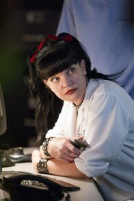 Navy CIS – Versucht herauszufinden, wohin Gibbs und McGee entführt worden sein könnten: Abby Sciuto (Pauley Perrette) ...
