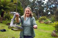 Tasmanien - Australiens grüne Insel – Reptilienretterin Sally Wilson mit einer Kupferkopfschlange: Ein Biss der Giftschlange kann tödlich sein.