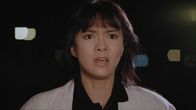 Tiger Cage – Insp. Shirley Ho Hsueh-Ling (Carol 'Do Do' Cheng)
