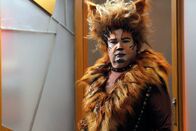 Modern Family – Cameron (Eric Stonestreet) steckt in einem Dilemma: Wenn er sich um die Hauptrolle im Musical CATS bemüht, muss er den Kampf um seinen Lieblingsbaum im Park aufgeben. Kann ihn möglicherweise jemand vertreten?