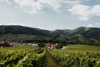 Urlaub daheim – Der traditionellen Heurige von Bernd Pulker.