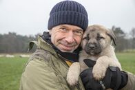 Faszination Erde – Die Kangalwelpen lernen von ihren ausgewachsenen Artgenossen, wie sie Schafe vor Feinden wie Wölfen schützen. Dirk Steffens ist dabei, wenn die jungen Hunde ihre Schützlinge kennenlernen.