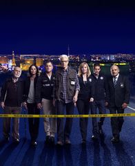 CSI: Vegas – CSI: Vegas (2014)