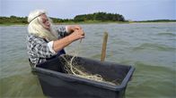 mareTV: Sylt - Mehr als ein Klischee – Manfred Schmidt, genannt "Bübchen", ist auf Sylt bekannt wie ein bunter Hund. Statt auf Fisch in den Netzen zu hoffen, sammelt er jetzt japanischen Blasentang. Die Gastronomen der Insel haben schon angebissen. (Weitere Bilder auf Anfrage)