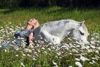 Pferdemenschen – Kerstin Brein, einzige Person aus Österreich, die bei der „Appassionata“, der größten Pferdeshow Europas, mitwirken darf. Ihr Training auf der Blütenwiese, im Bach und in der Reithalle wird gezeigt und auch ihr Auftritt bei der Appassionata.
