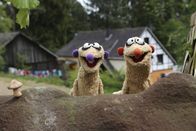 Unser Sandmännchen – Die Erdmännchen Jan und Henry landen auf der Suche nach einer Königin auf einem Bauernhof.