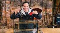 CheXperiment – Sa, 07.03., 14:55 Uhr