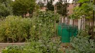 Querbeet extra – Interkultureller Garten in Bozen.