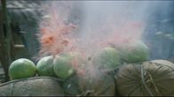 Dynamite Fighters – Di, 19.08., 02:15 Uhr