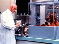 Alf – Alf (1988)