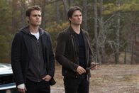 Vampire Diaries – Vampire Diaries (2017)
