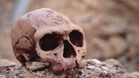 Katastrophen der Erdgeschichte – Nach dem Aussterben der Dinosaurier treten die Säugetiere ihren Siegeszug an. Darunter auch der moderne Mensch, der Homo sapiens. Dieser lebt bereits vor über 300.000 Jahren in Afrika.