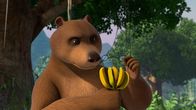 Das Dschungelbuch – Es wachsen nicht mehr so viele Bananen im Dschungel. Balu ist besorgt und fragt sich, ob es zu wenige Bienen gibt?