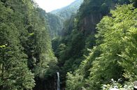 Wilde Inseln – Japan, Forest and WaterfallGV; Forest and waterfall