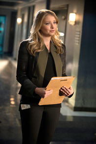 CSI: Vegas – CSI: Vegas (2013)