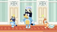 Bluey – L-R: Bluey, Bandit, Bingo