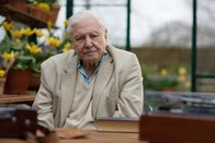 Universum – Sir David Attenborough im Richmond Park Frühjahr 2021.
