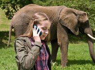 Tiere bis unters Dach – Greta (Enya Elstner) telefoniert mit Lilie (Lotte Hanné). Sie hat eine Idee, wo man Zawadi unterbringen könnte.