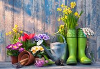 infos & tipps – Fr, 21.08., 18:53 Uhr
