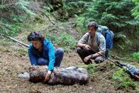 Der Ranger – Im Wald begegnet Jonas (Philipp Danne) der Wolfsbiologin Emilia Graf (Lisa Tzschirner). Sie versieht den Wolf mit einem Peilsender, um seine Route besser verfolgen zu können.