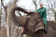 Arme Millionäre – Vom Arbeitsamt vermittelt, soll Paul (Sky du Mont) den Tierpflegern im Zoo Französisch beibringen, damit die französische Elefantenkuh Florence pariert.