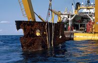 Terra X – Terra X (2020)