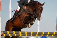 Springreiten: Global Champions Tour – Do, 01.10., 15:00 Uhr