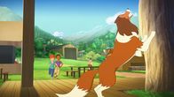 Lassie – Lassie hat eine heiße Spur, wer die Gegenstände gestohlen haben könnte, und macht Zoé und Harvey darauf aufmerksam.