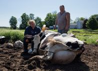 Der unglaubliche Dr. Pol – Weidman, MI - Dr. Brenda.
