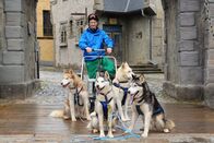Kesslers Expedition – In der Auftaktfolge trifft Michael Kessler zum ersten Mal seine tierischen Reisebegleiter - die vier Sibirien Huskys Kiran, Taisto, Tahvo und Jarkko. Die finnischen Vornamen der Hunde gehen ihm zwar leicht von der Zunge, doch wer ist wer?