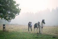 Sturm der Liebe – Vincent (Martin Walde, l.) bittet Ana (Soluna-Delta Kokol, r.) ihm zu vertrauen.