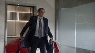 Bull – Bull (2019)