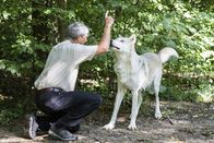 Hunde in den Bergen – Kurt Kotrschal