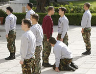Navy CIS – Navy CIS (2014)