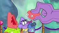 Die Patrick Star Show – v.li.: Patrick, Squidina