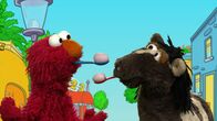 Sesamstraße – Elmo und Pferd machen einen Eierlauf und selbst Krümelmonster trainiert.