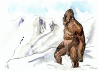 Mystery 360 – An artist's depiction of the Yeti or Abominable Snowman, the man-beast reportedly living in the Himalayan mountains of Nepal and Tibet. (Credit: File Courtesy Fortean Picture Library)
