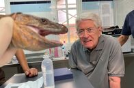 Elstners Reisen – SWR Fernsehen ELSTNERS REISEN: DIE RETTER DER MEERESTIERE Uhr. In einer Auffangstation auf La Palma machte Frank Elstner Bekanntschaft mit einer wehrhaften Rieseneidechse.
