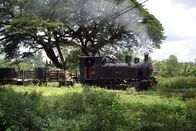 Eisenbahn-Romantik – Waldbahn von Cepu im Osten Javas.
