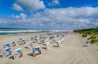 Zu Tisch ... – Der Sylter Weststrand ist fast 40 Kilometer lang und voller Strandkörbe, die meist bereits zu Beginn der Saison ausgebucht sind.
