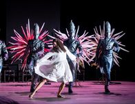 Jolanthe und der Nussknacker – Mila Schmidt (Jolanthe), Dragos Musat (Tänzer), Roman Chistyakov (Tänzer), Aleksandar Orlić (Tänzer).