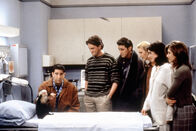 Friends – Friends (1994)