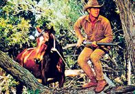 Nevada Smith – Auf der Jagd nach den Mördern seiner Eltern: Nevada Smith (Steve McQueen).