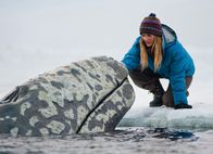 Der Ruf der Wale – Der Ruf der Wale Wal in Gefahr: Drew Berrymore als Rachel Kramer