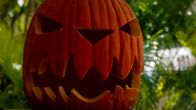 Hawaii Five-0 – An Halloween nimmt das Team die Jagd auf einen Serienmörder auf, der Morde aus Kultfilmen nachahmt ...